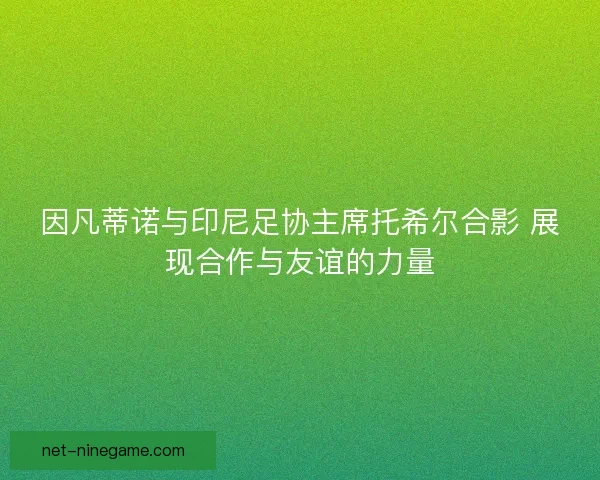 因凡蒂诺与印尼足协主席托希尔合影 展现合作与友谊的力量